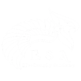 Elite Security Academy